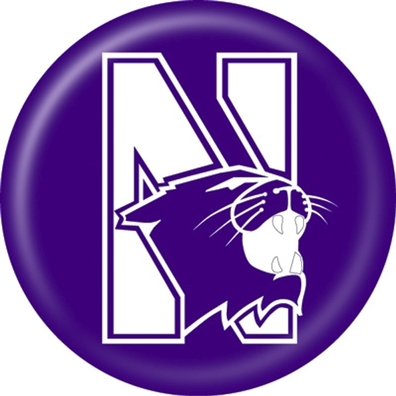 Northwestern Wildcats